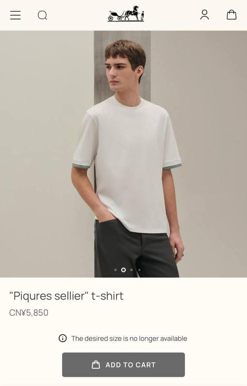 Hermes T-shirt