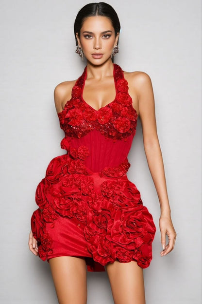 Herve Leger Dress