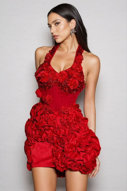 Herve Leger Dress