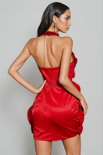 Herve Leger Dress