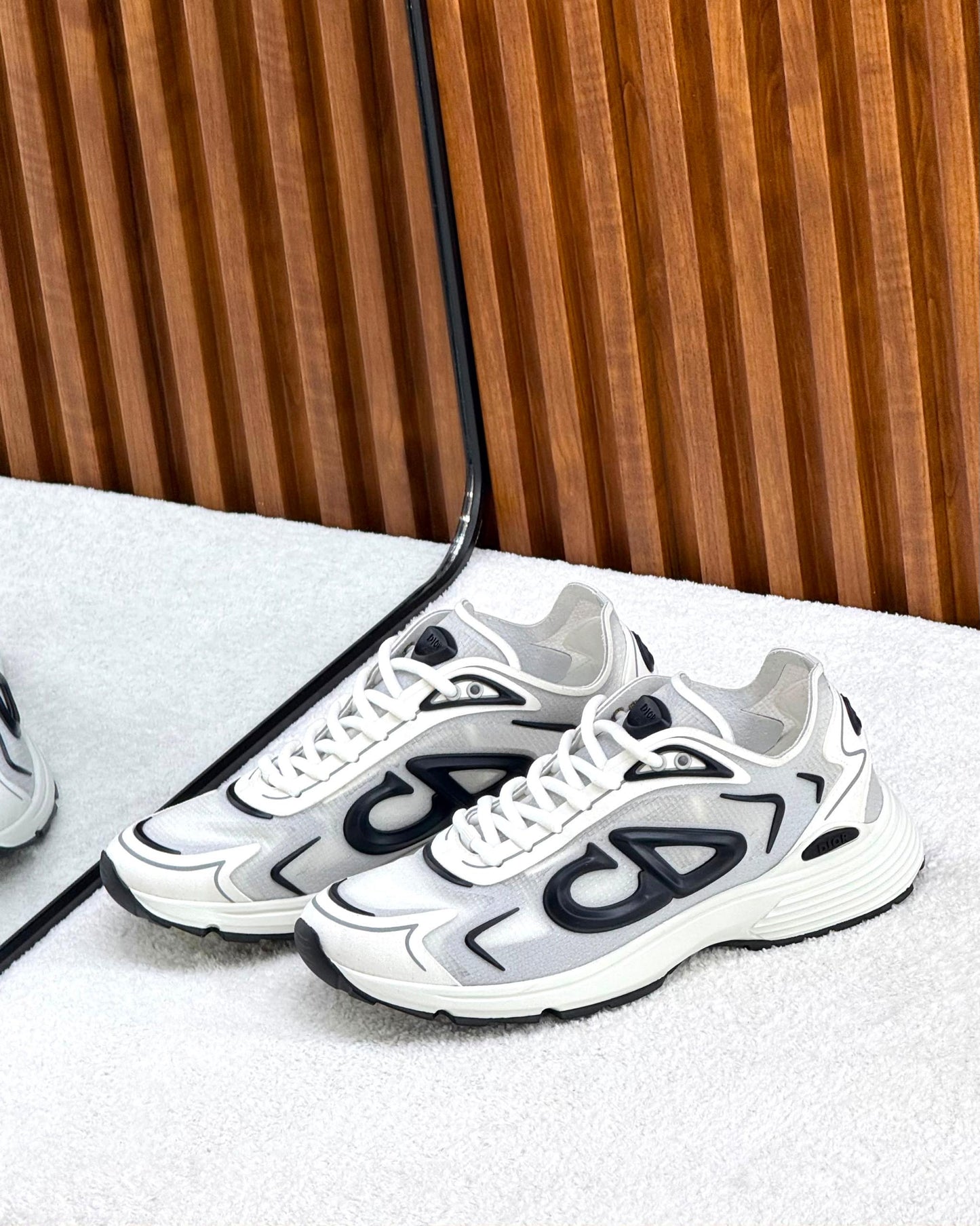 Dior B30 Shoes