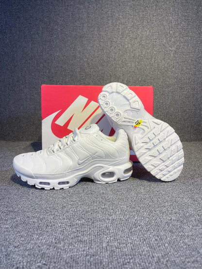 Air Max Tn 1