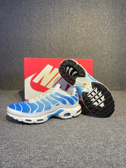 Air Max Tn 1