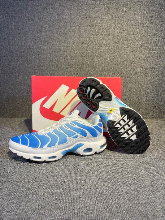 Air Max Tn 1