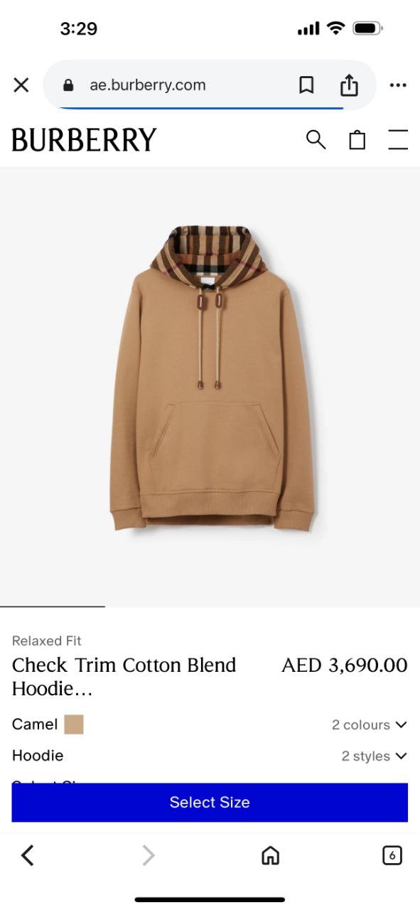 Burberry Hoodie