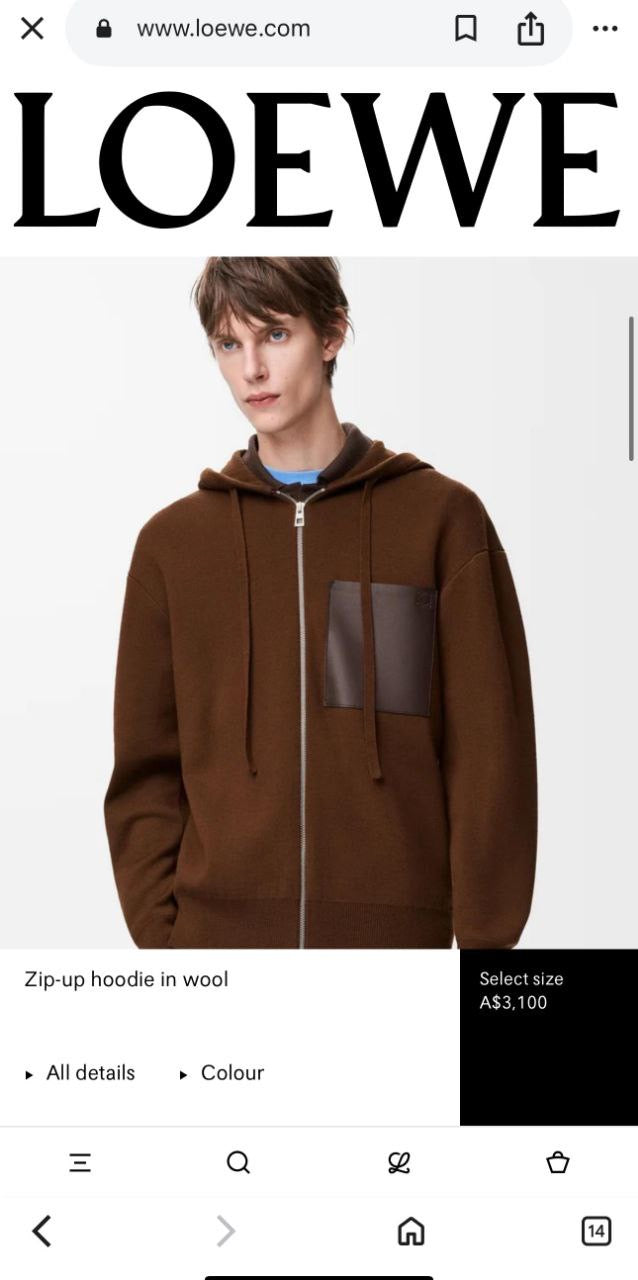 Loewe Hoodie