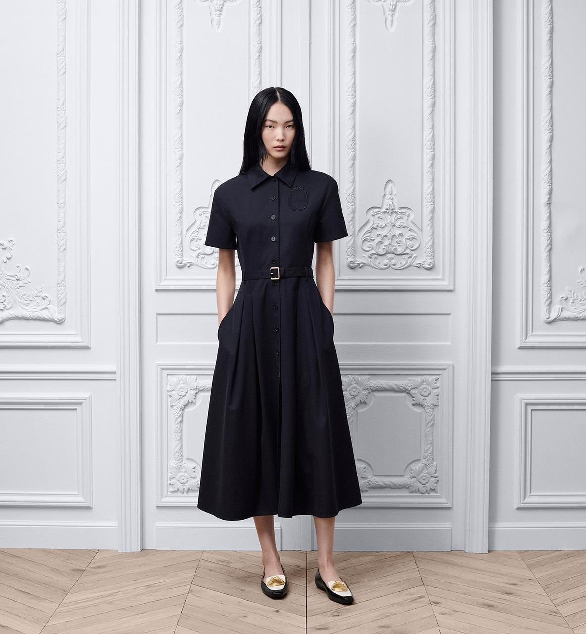 Dior Dress
