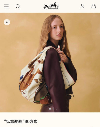 Hermes Scarf