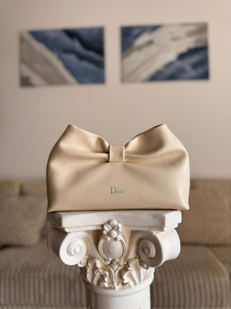 Dior Clutch Bag (Vip)