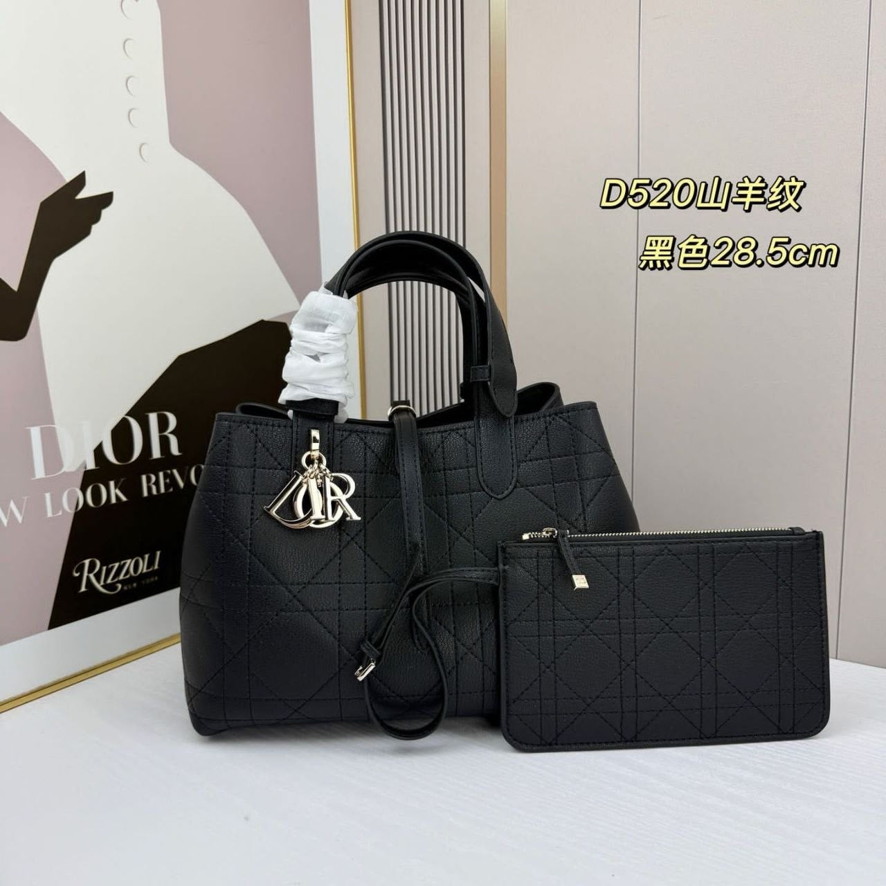 Dior HandBag