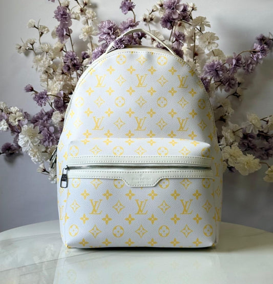 Louis Vuitton Backpack (VIP Quality)