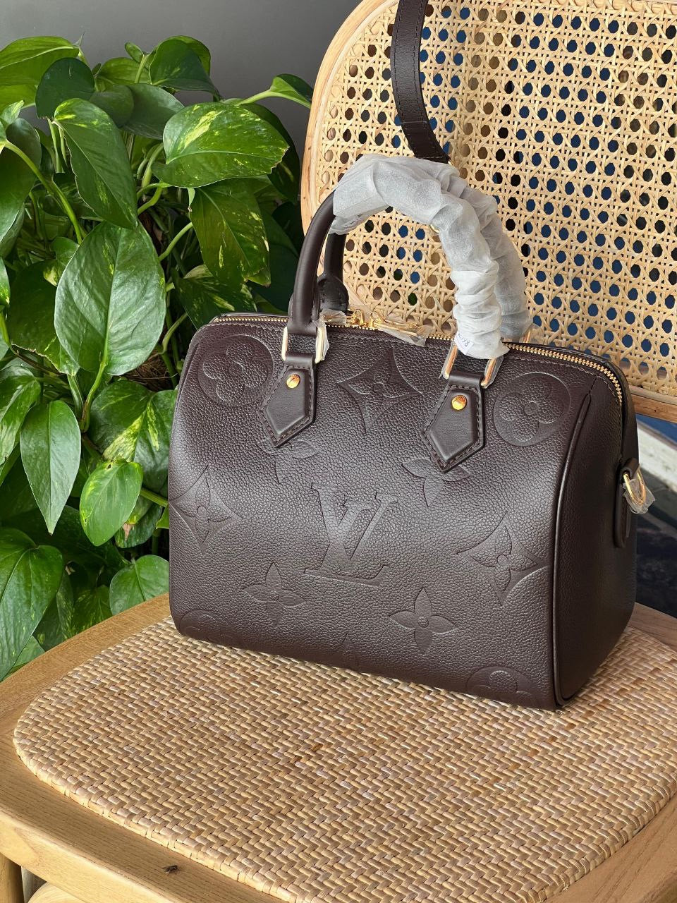 Louis Vuitton Hand Bag (Vip)