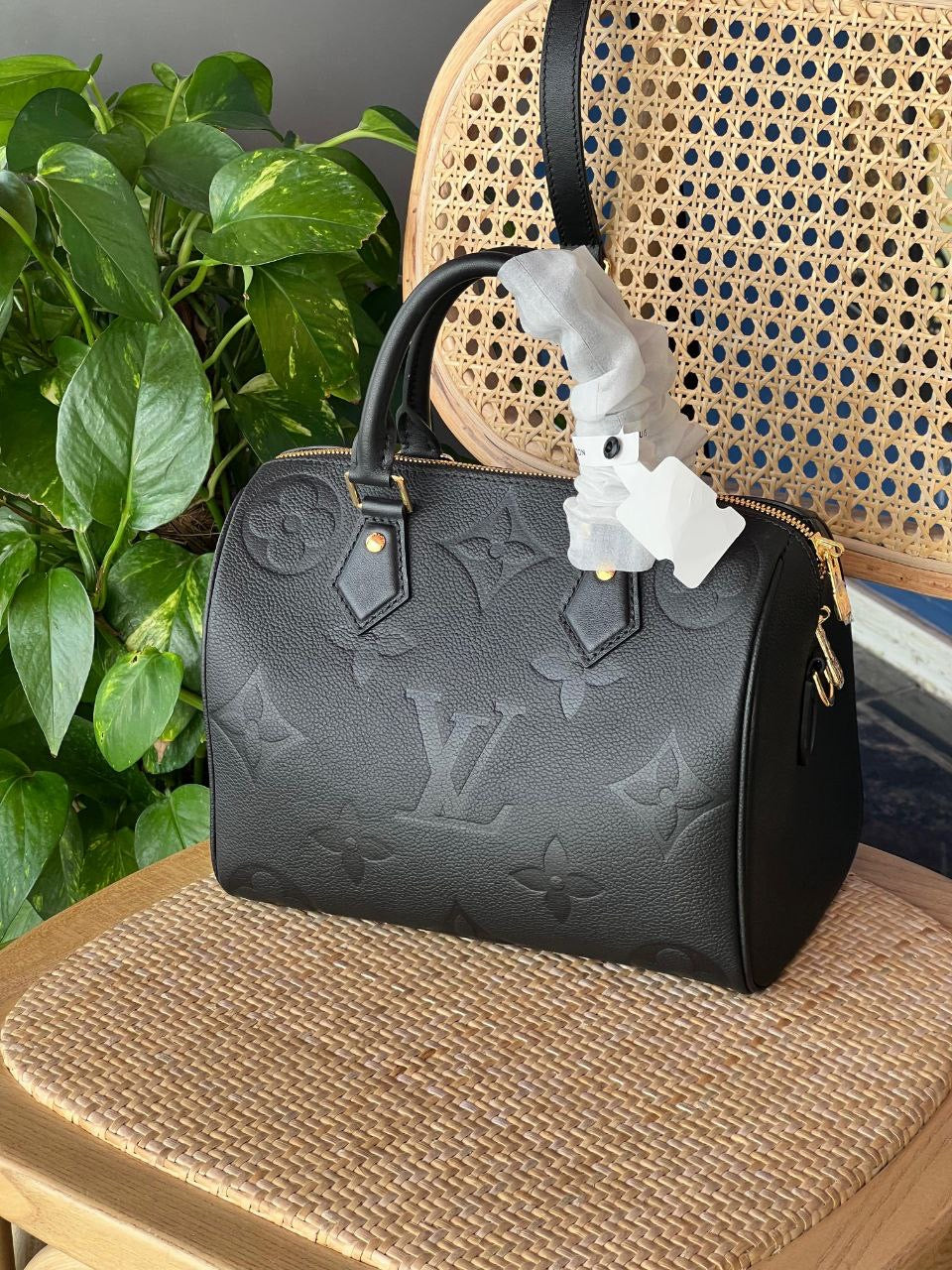 Louis Vuitton Hand Bag (Vip)