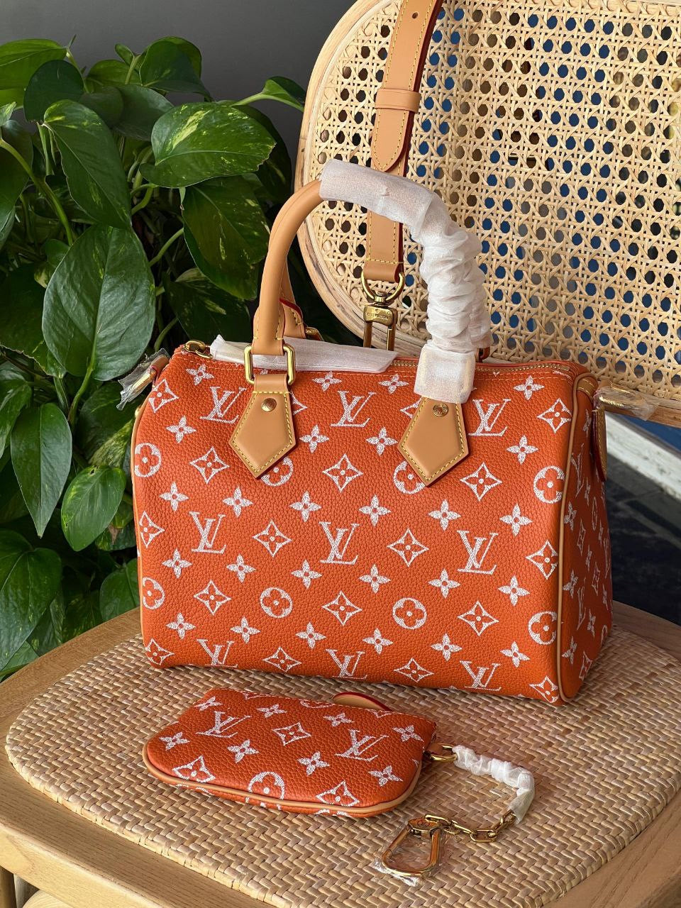Louis Vuitton Hand Bag (Vip)
