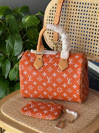 Louis Vuitton Hand Bag (Vip)
