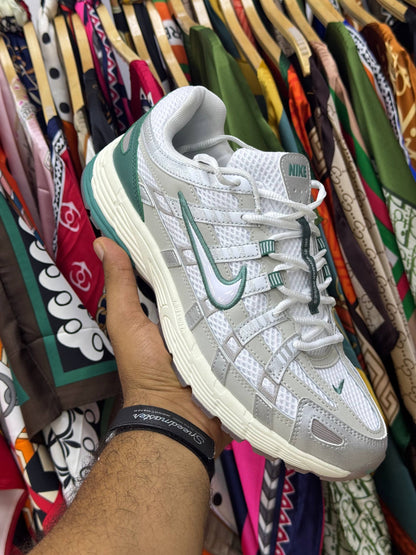 Nike P 6000 15 colors