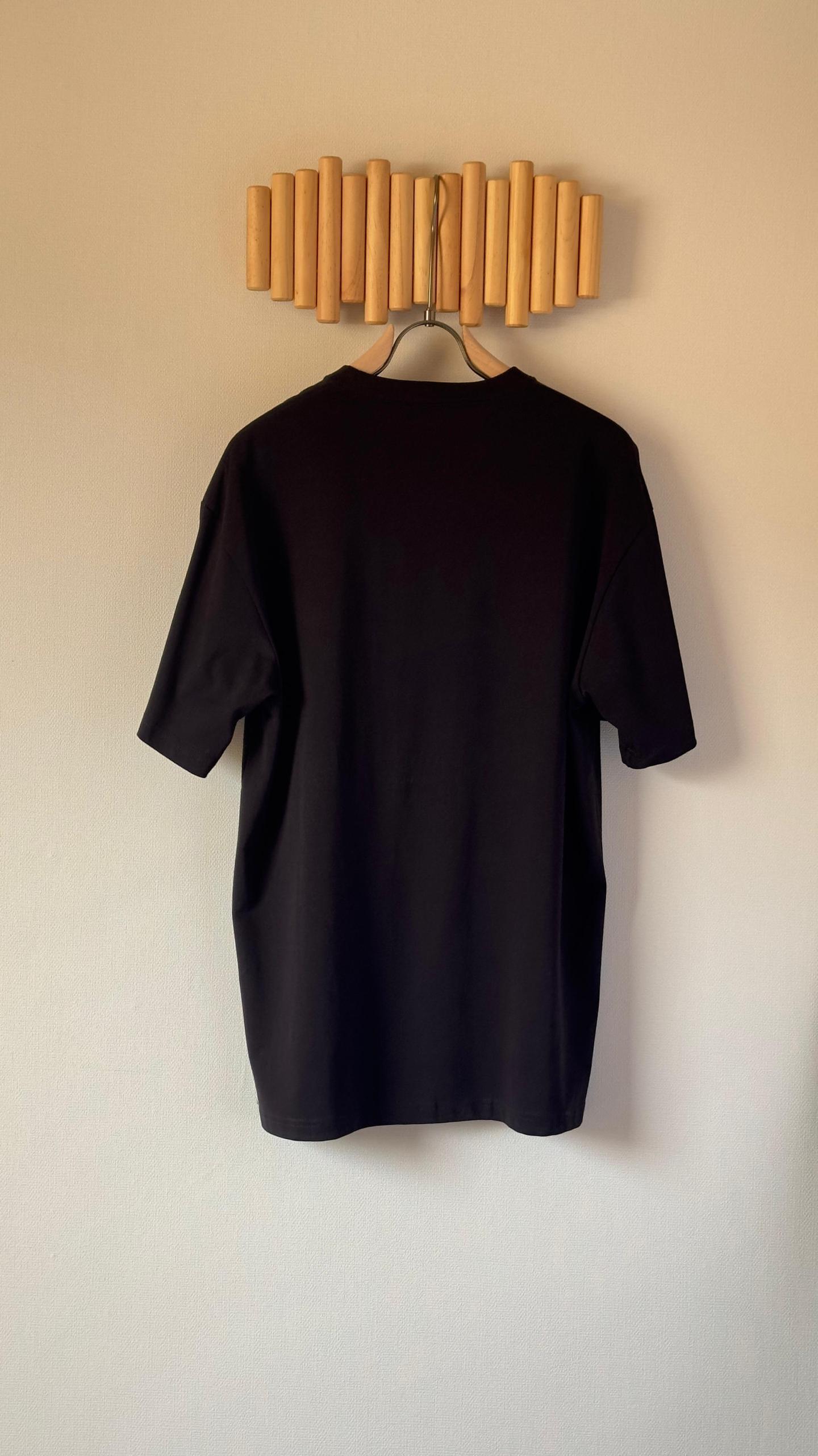Gucci T-Shirt 2 colors