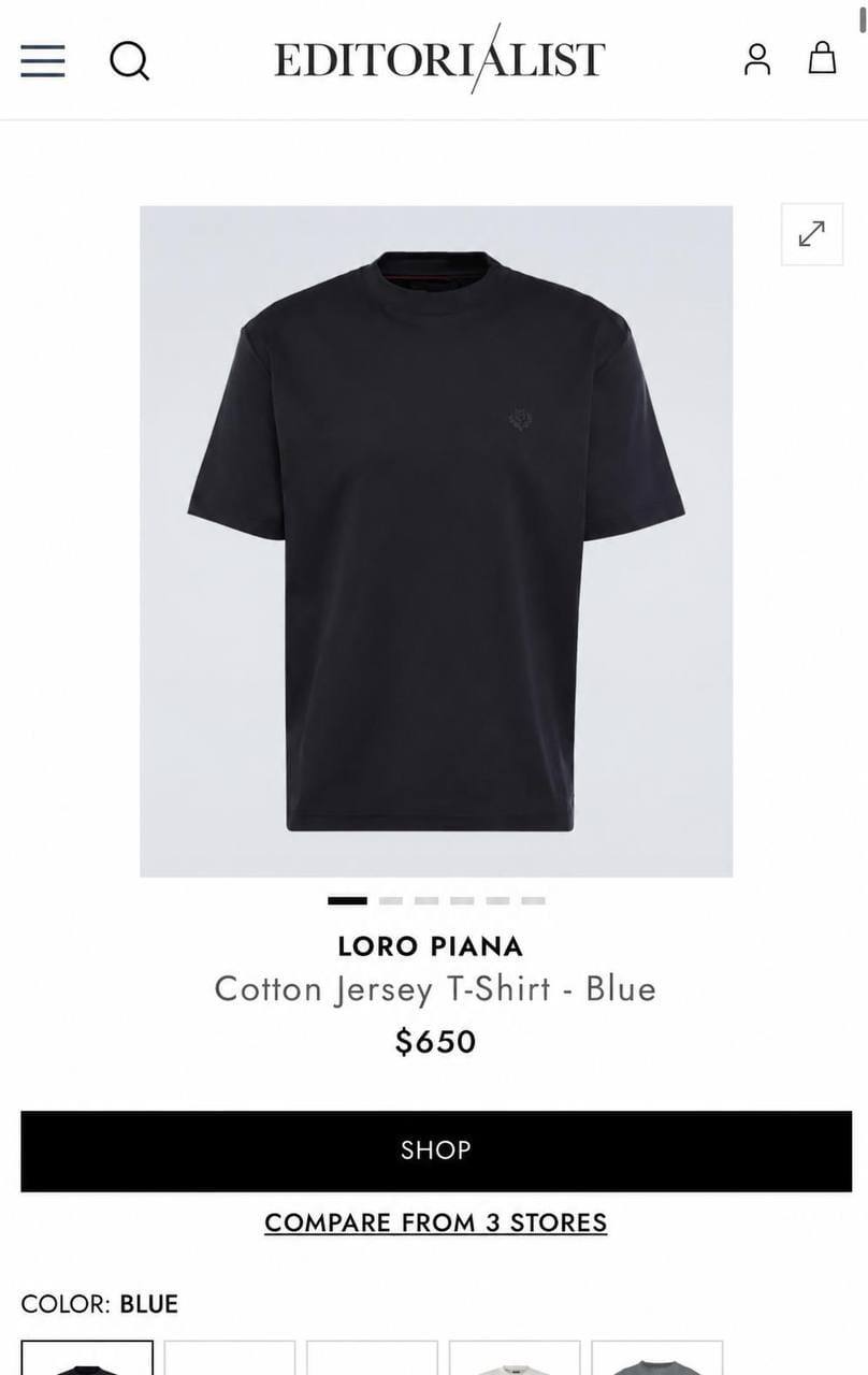 Loro Piana T-shirt - 