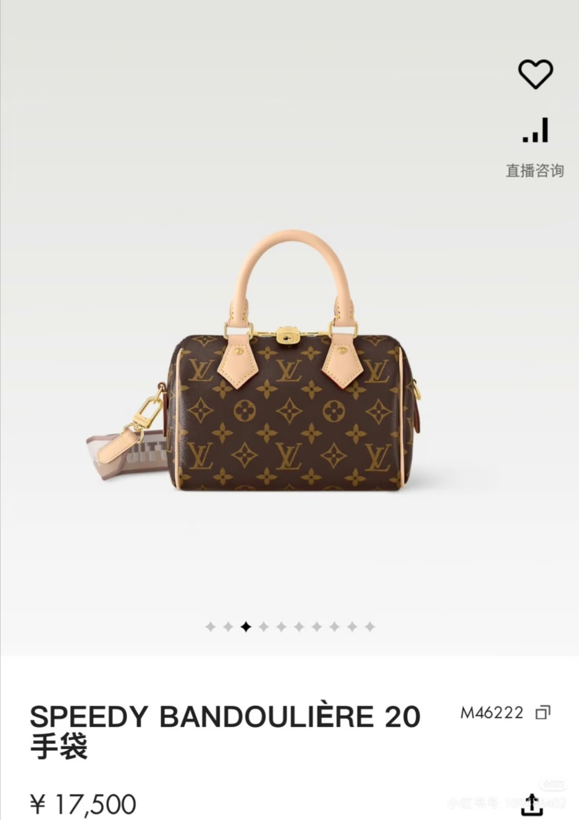 Louis Vuitton Shoulder Bag - Monogram