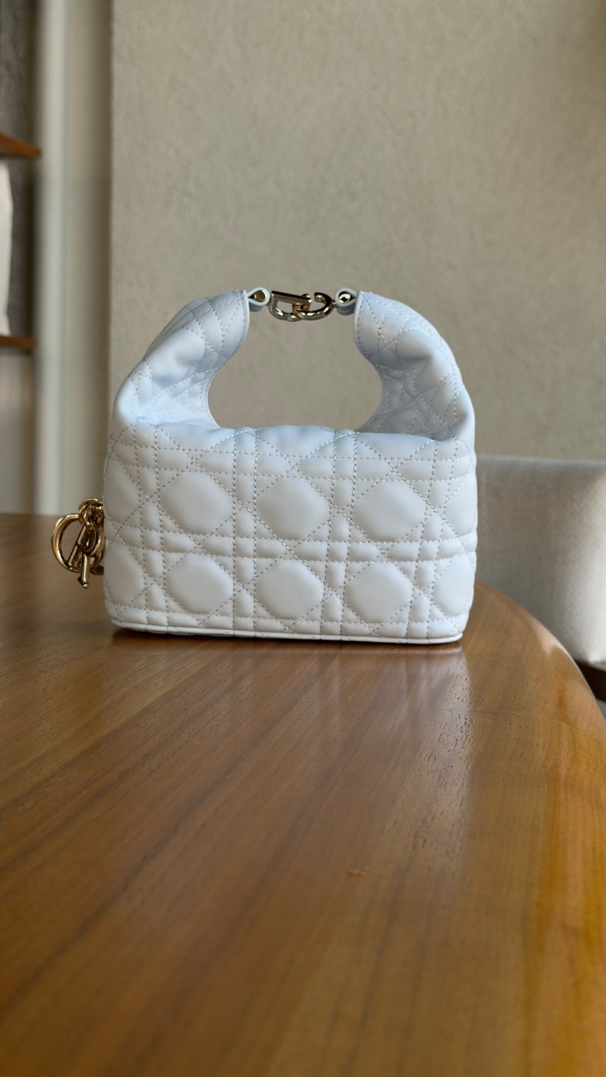 Dior Hobo Bag - Light Blue