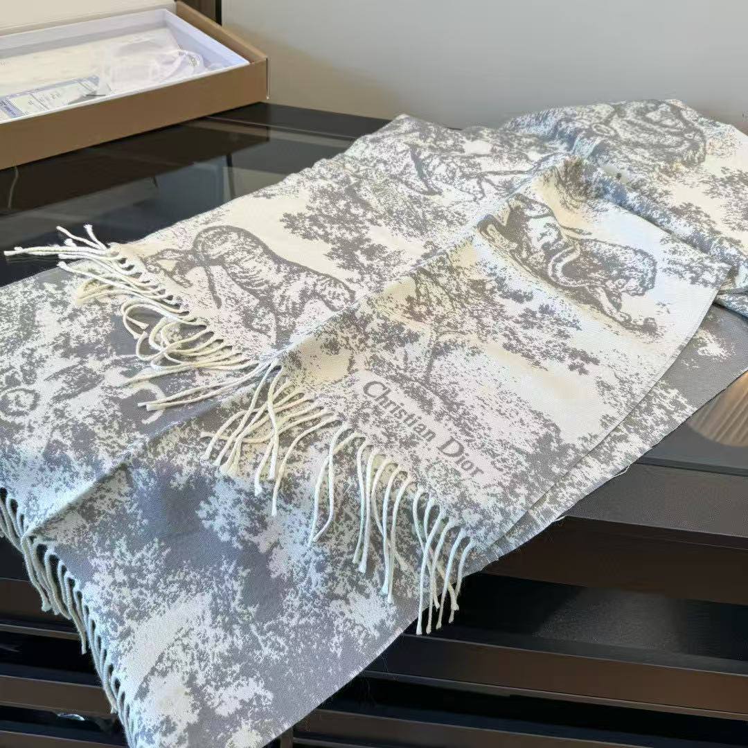 Dior Scarf - 