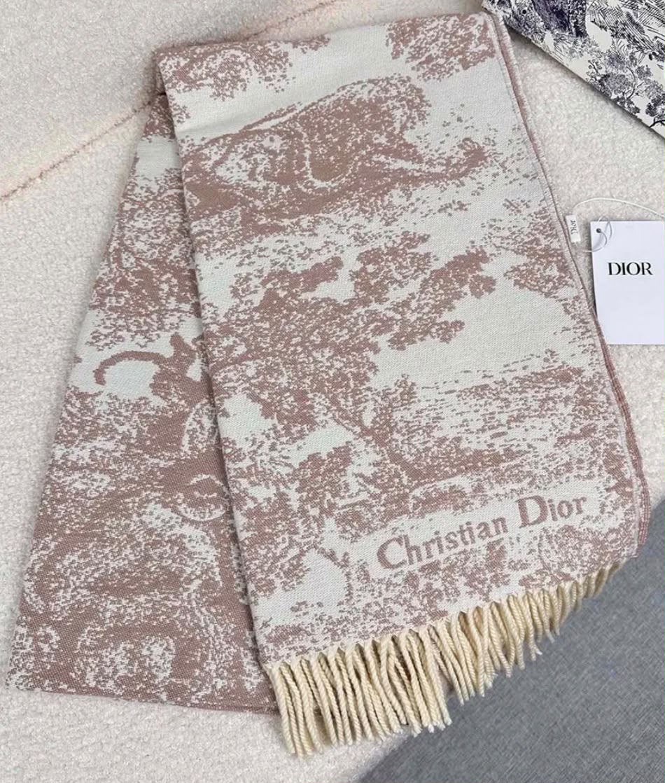 Dior Landscape Print Scarf - Beige