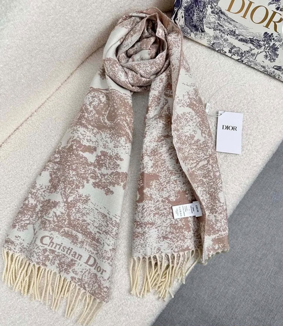 Dior Landscape Print Scarf - Beige