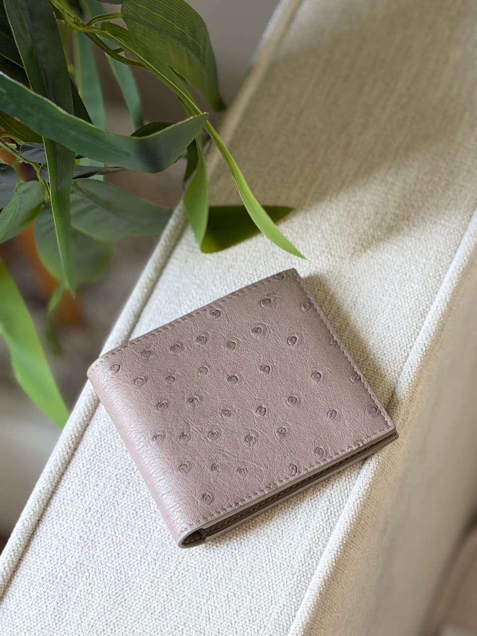 Bottega Veneta Bifold Wallet - Beige Embossed