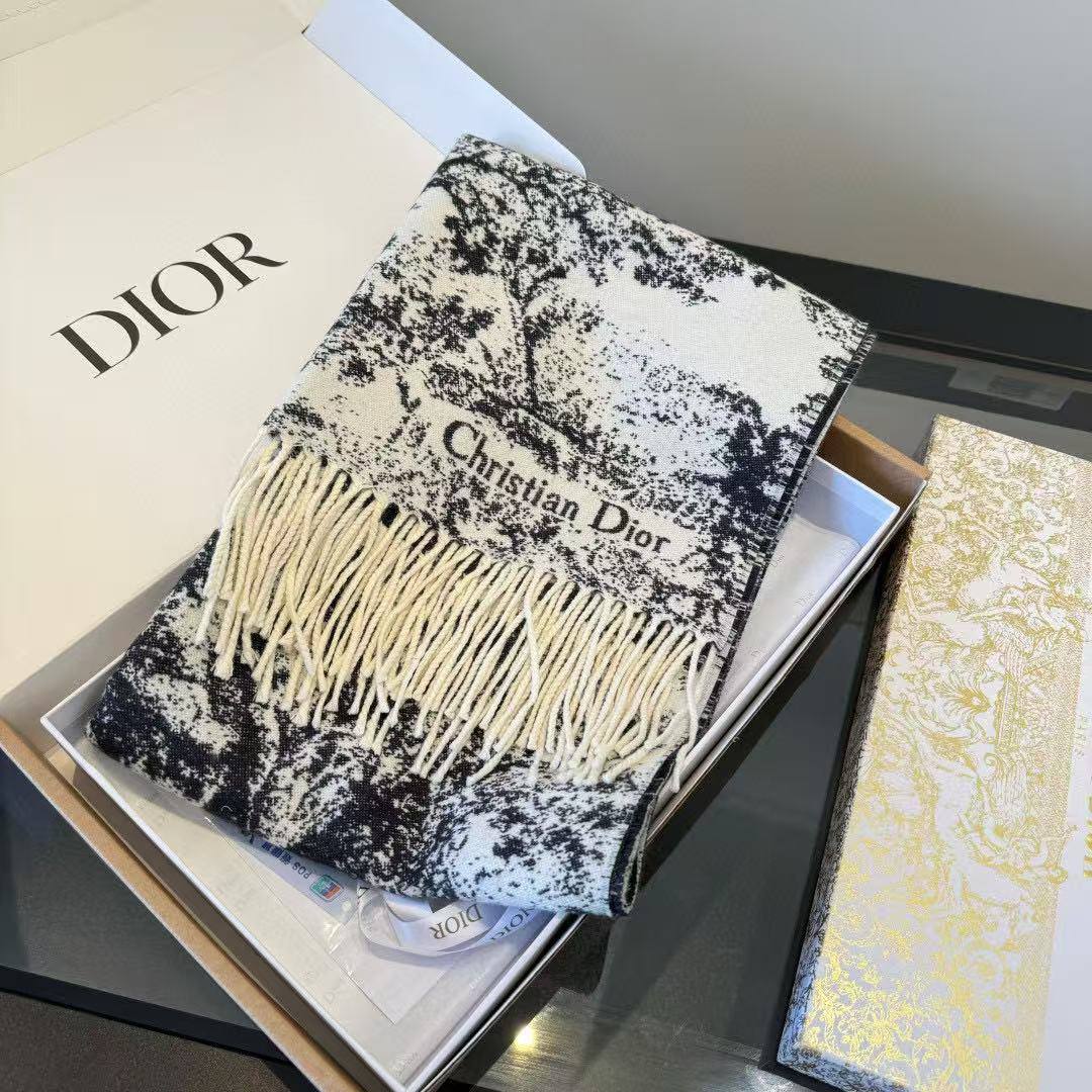 Dior Scarf - 