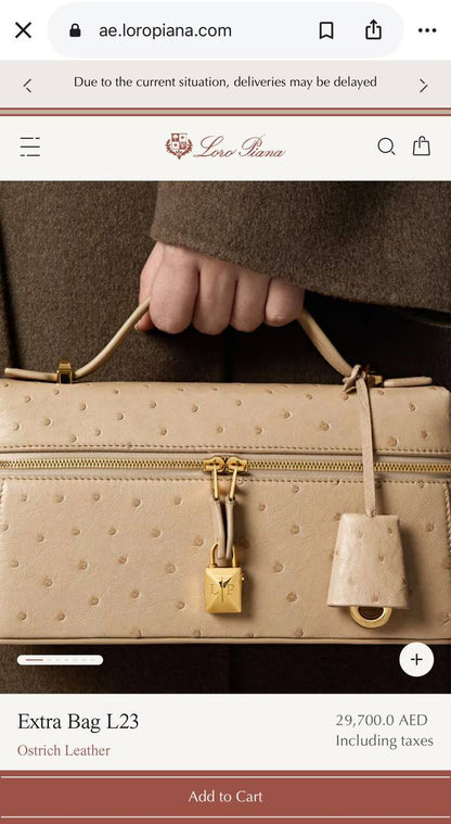 Loro piana Hand Bag - 