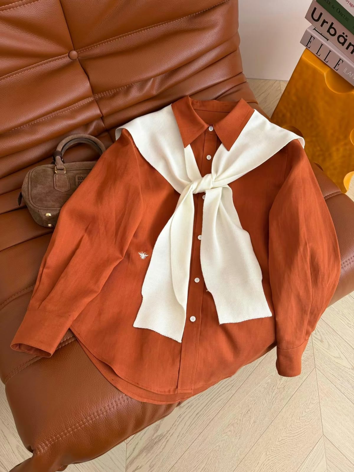 Dior Shirt - Orange