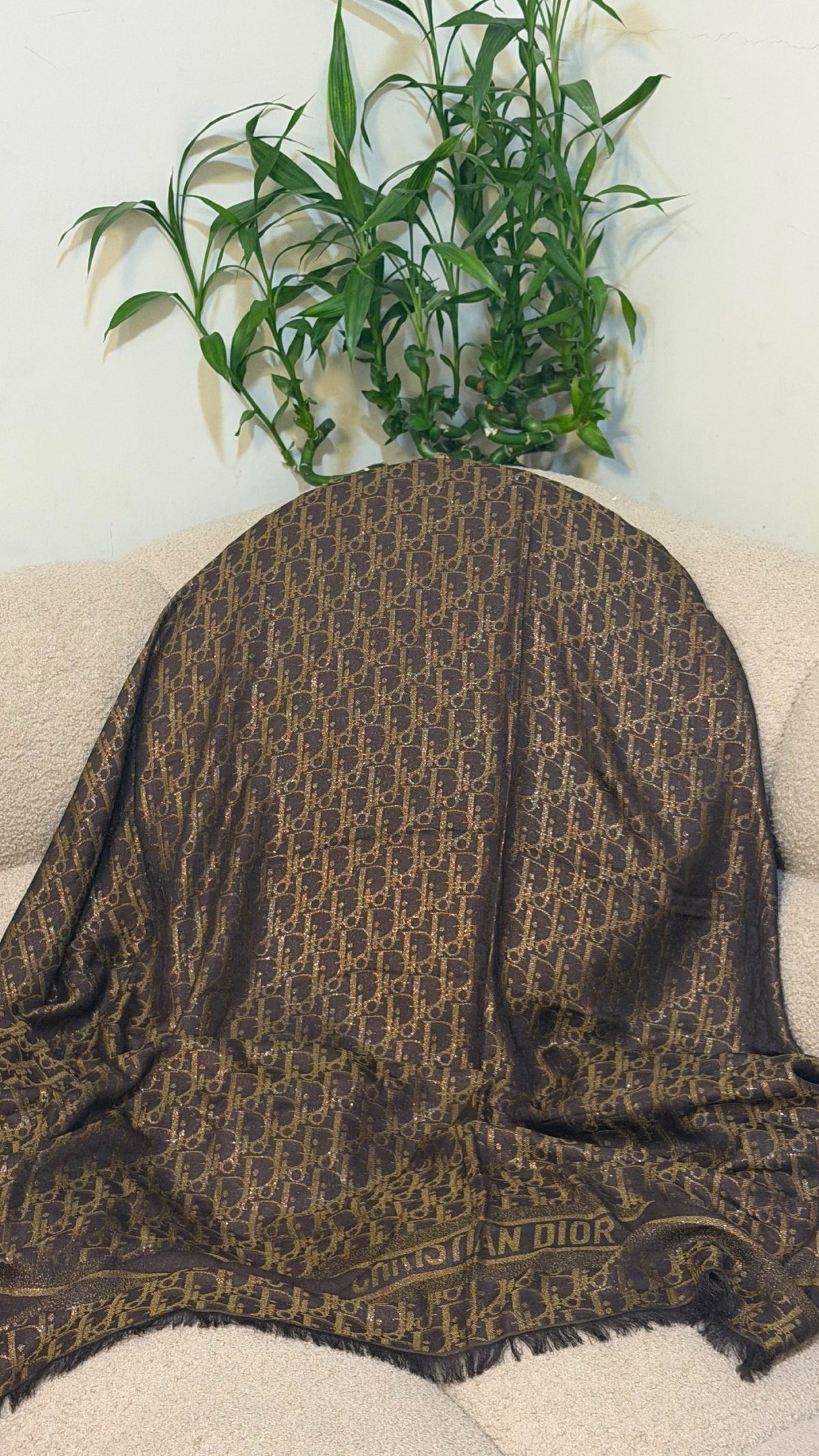 Dior Oblique Scarf - Brown Monogram