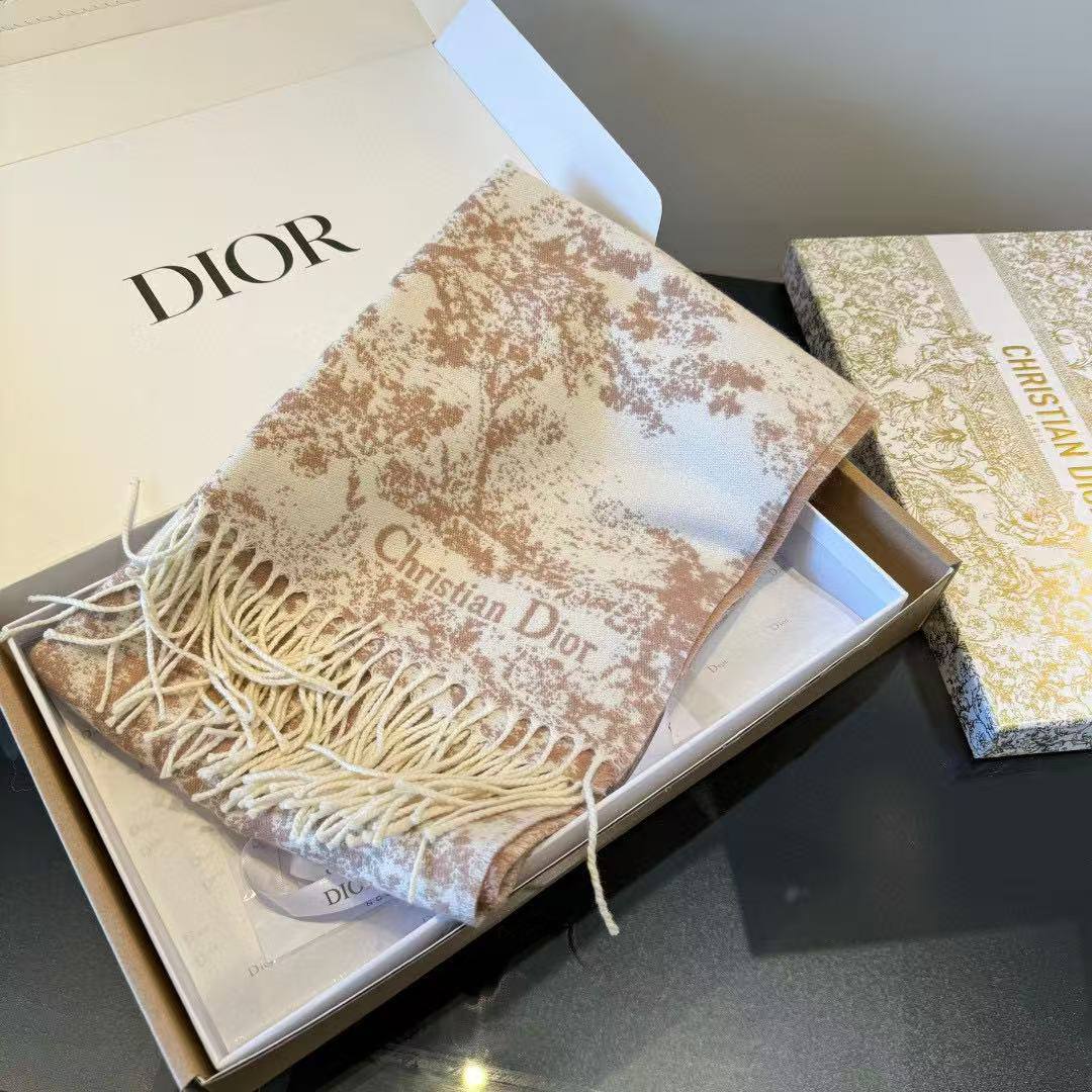 Dior Scarf - 