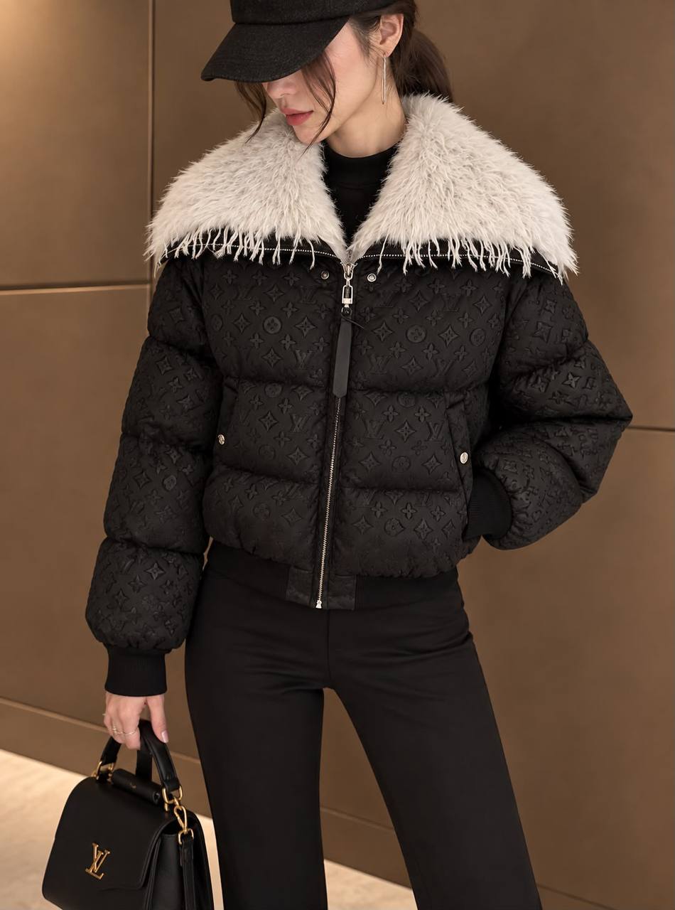 Louis Vuitton Jacket - 