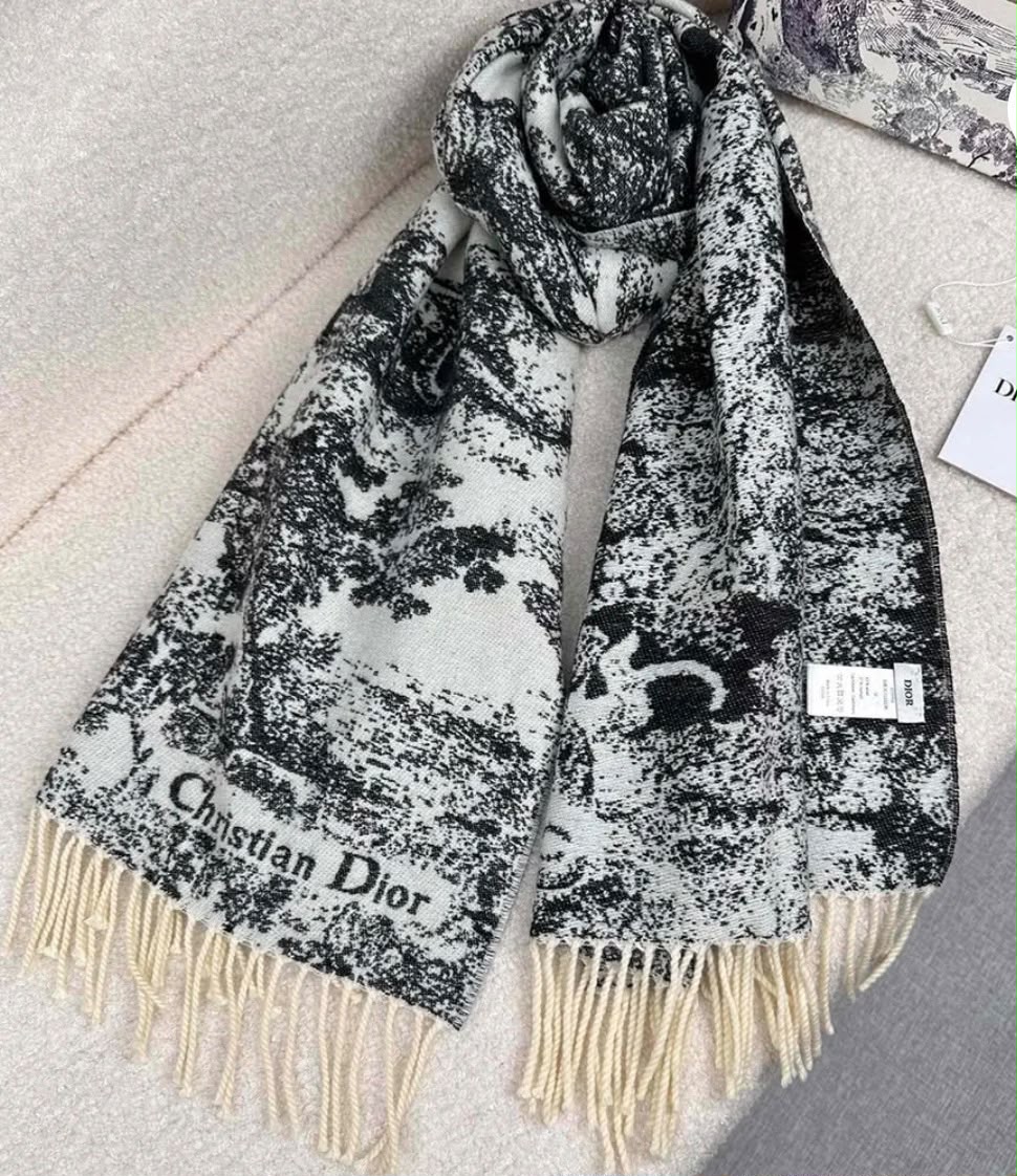 Dior Landscape Print Scarf - Black