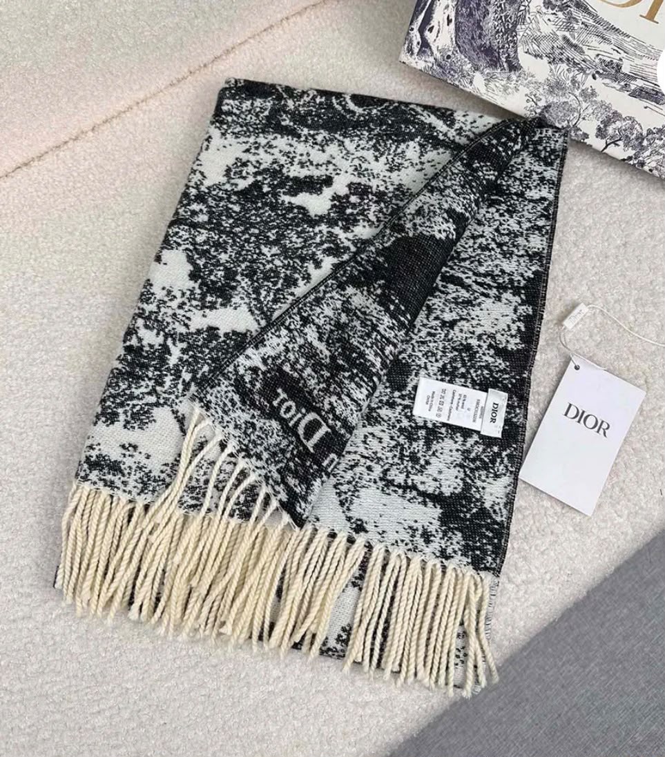 Dior Landscape Print Scarf - Black
