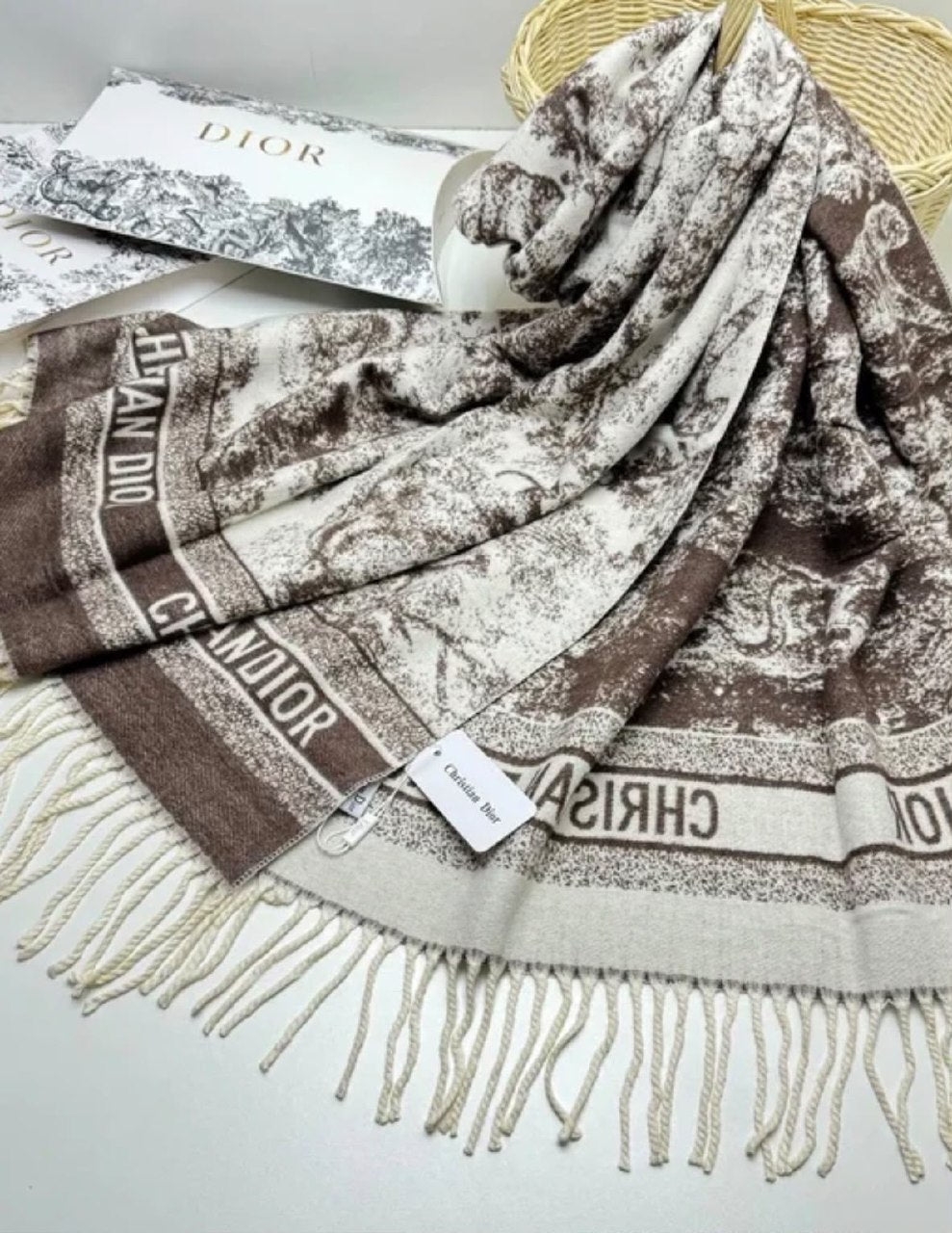 Dior Border Print Scarf - Brown