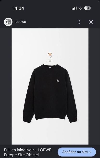 Loewe Sweater - 