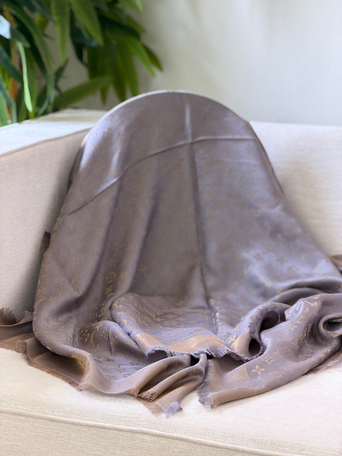 Louis Vuitton Scarf - Brown Monogram