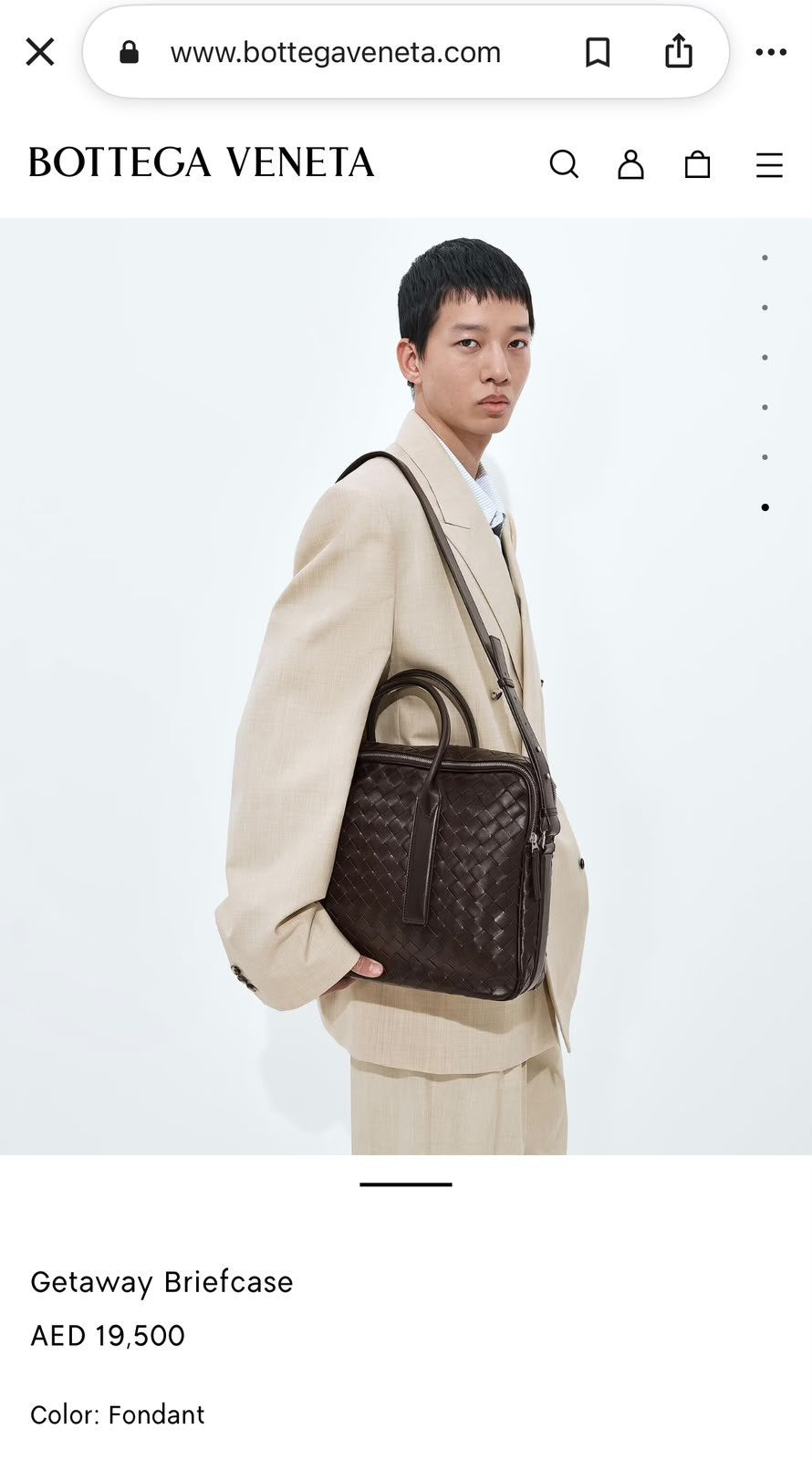 Bottega Veneta Intrecciato Briefcase - Brown