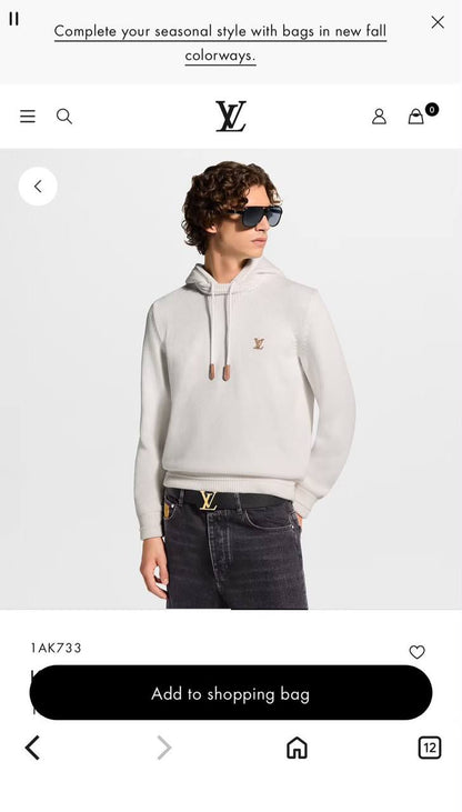 Louis Vuitton Hoodie - 