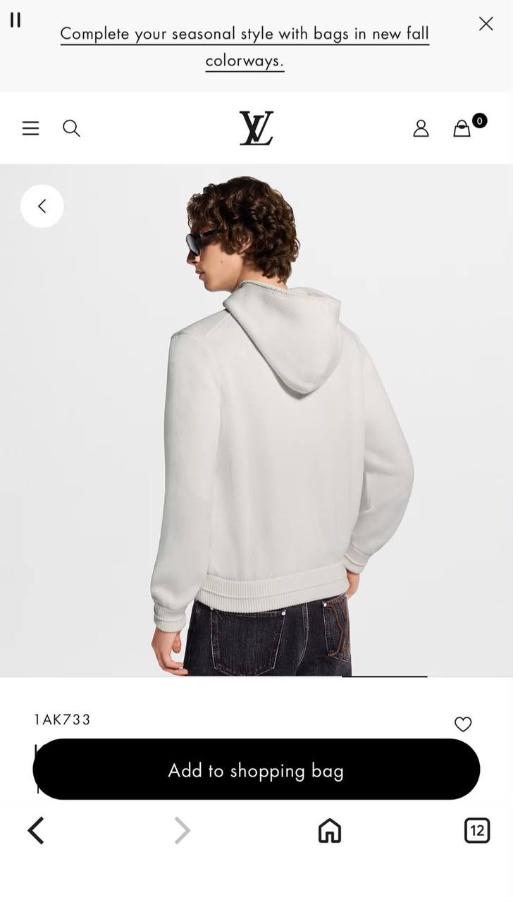 Louis Vuitton Hoodie - 
