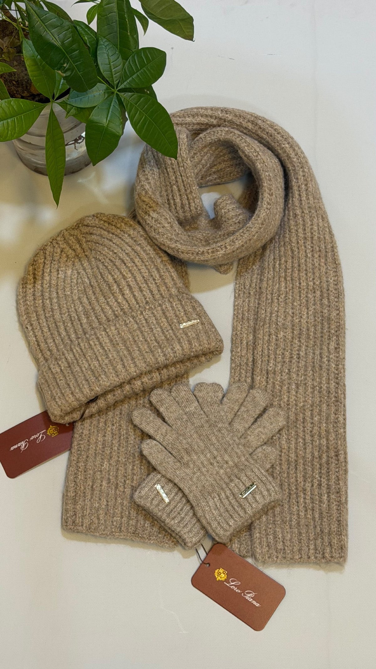 Loro Piana Scarf & Beanie - Beige