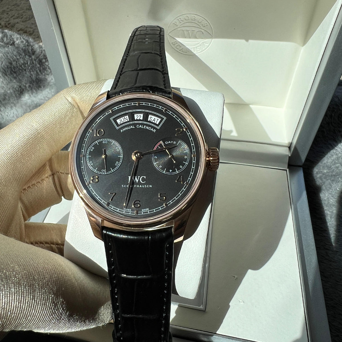 IWC Portugieser Annual Calendar Watch - 