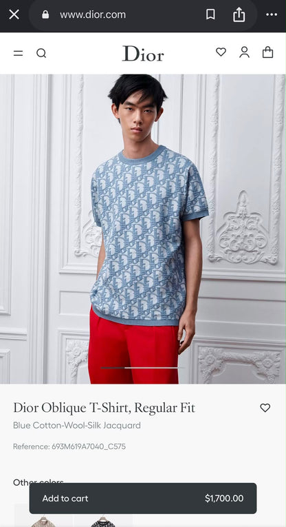 Dior Knitted T-Shirt - Blue