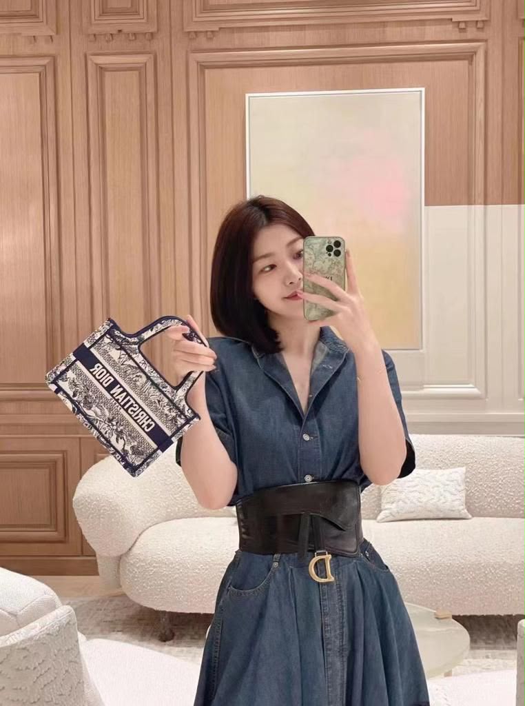 Dior Flap Belt Bag - Black