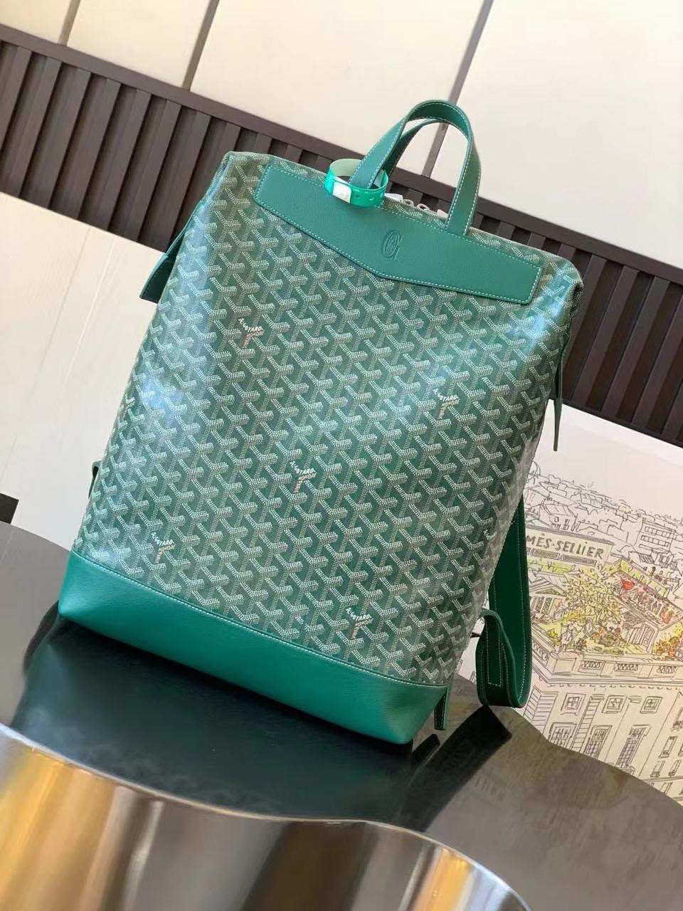 Goyard Backpack - Green