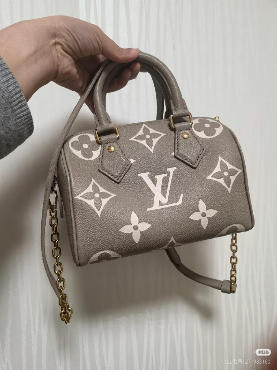 Louis Vuitton Speedy Bag - Grey Monogram