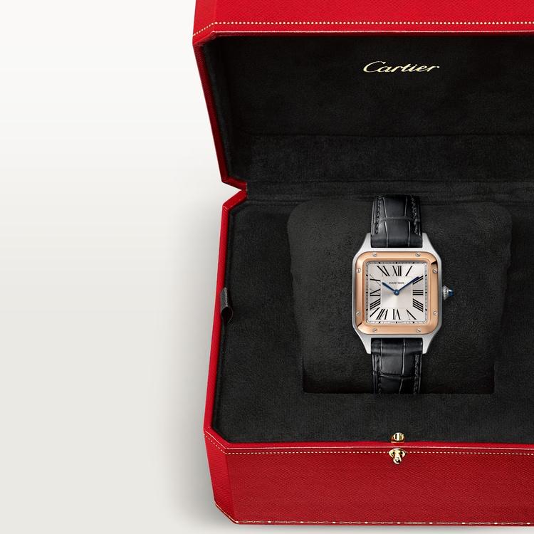 Cartier Watch - 
