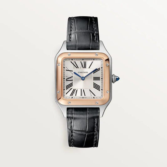 Cartier Watch - 